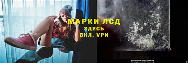 трава Каменногорск