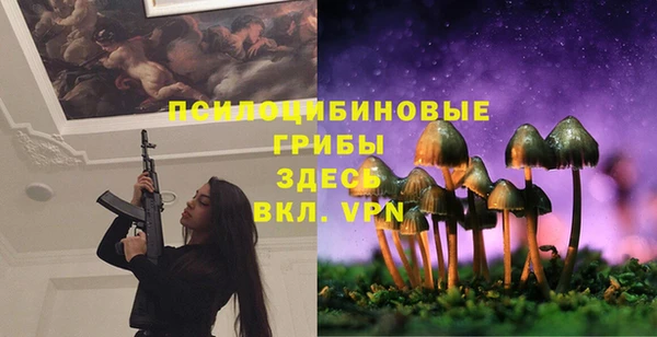 герыч Карпинск