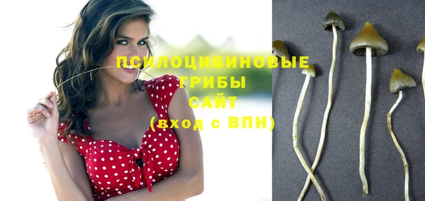 амфетамин Каменка
