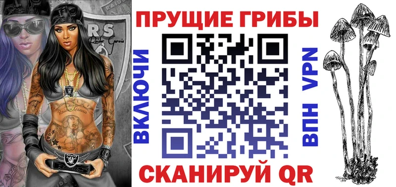 Купить  Красноуральск  Галлюциногенные грибы Psilocybe 